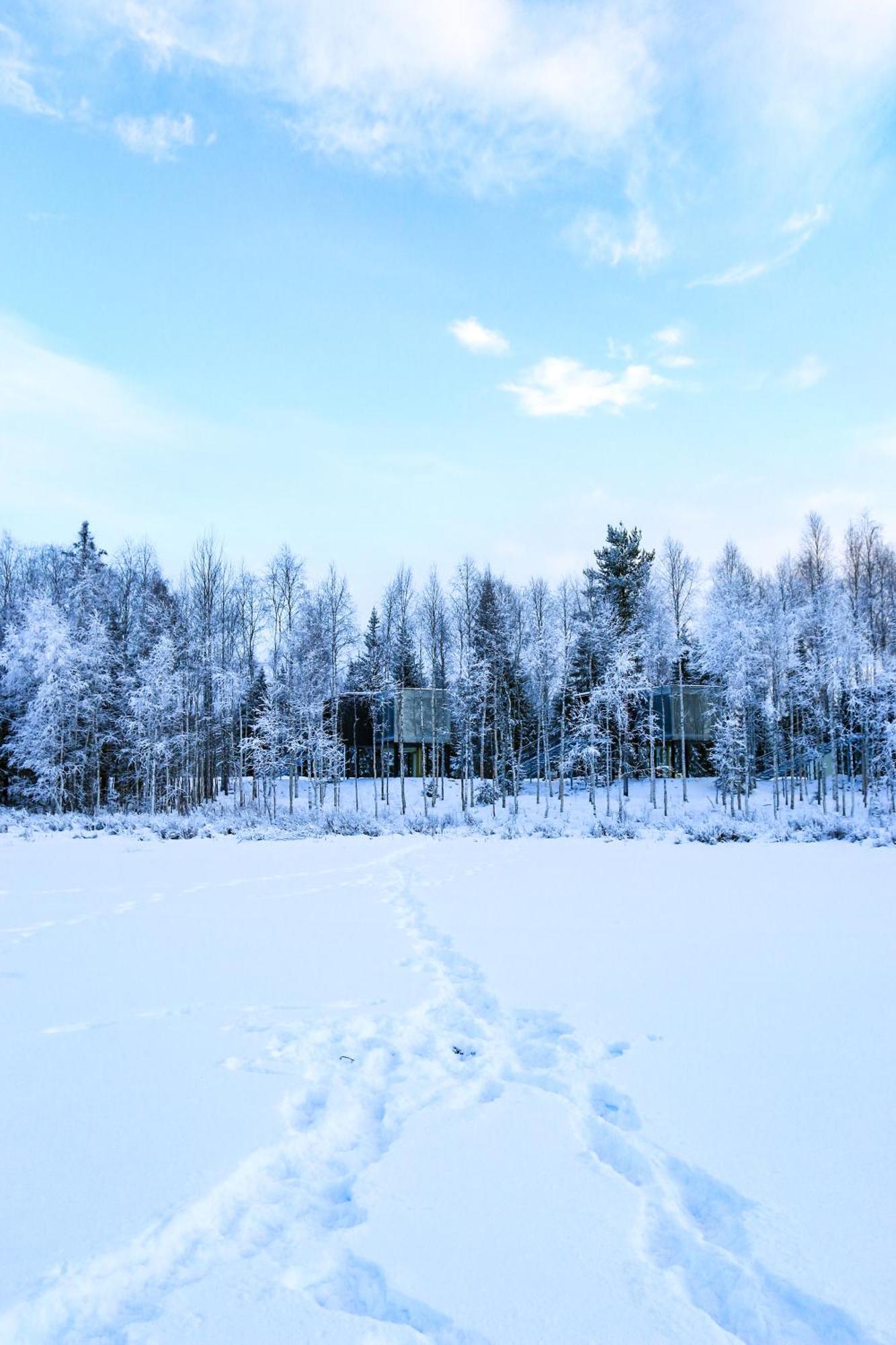 Silver Birch Resort Lapland Rovaniemi Ngoại thất bức ảnh
