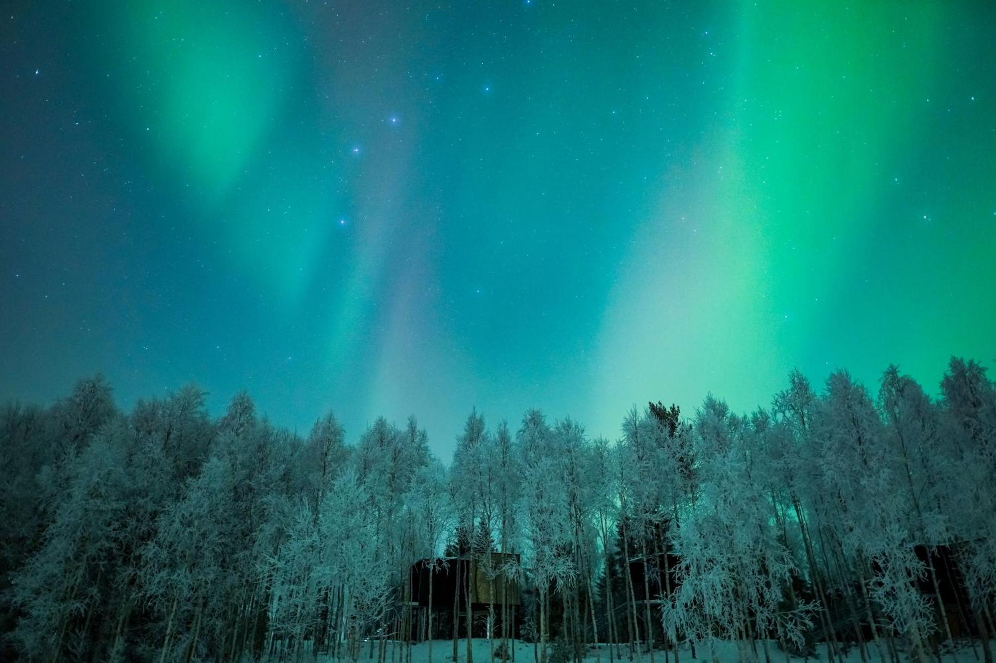 Silver Birch Resort Lapland Rovaniemi Ngoại thất bức ảnh
